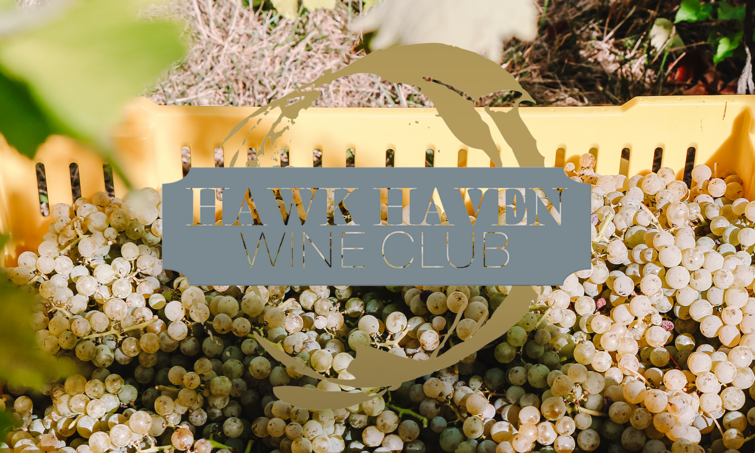 Hawk Haven Wine Club Hawk Haven Vineyard & Winery