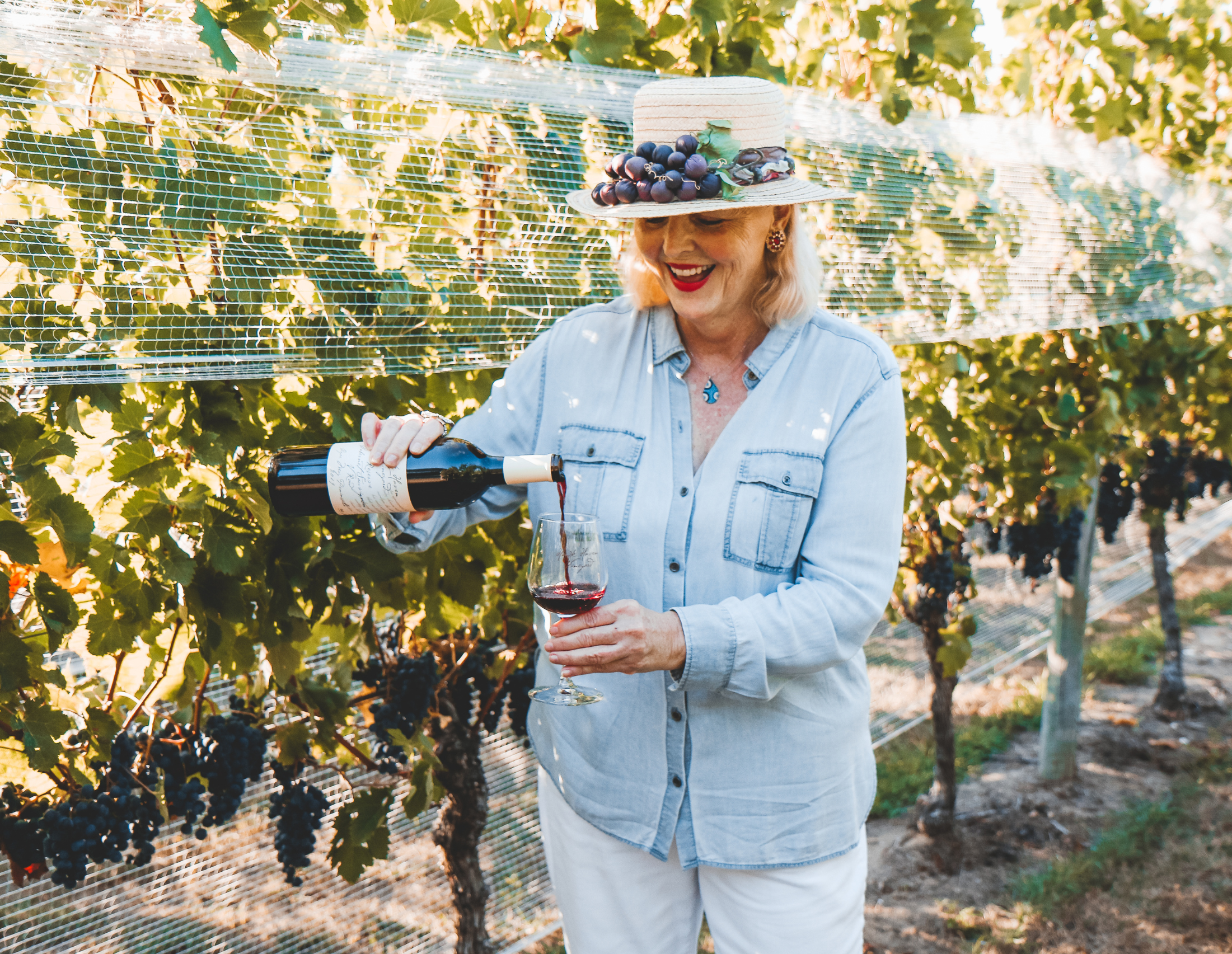 Vineyard & Winery Tour
