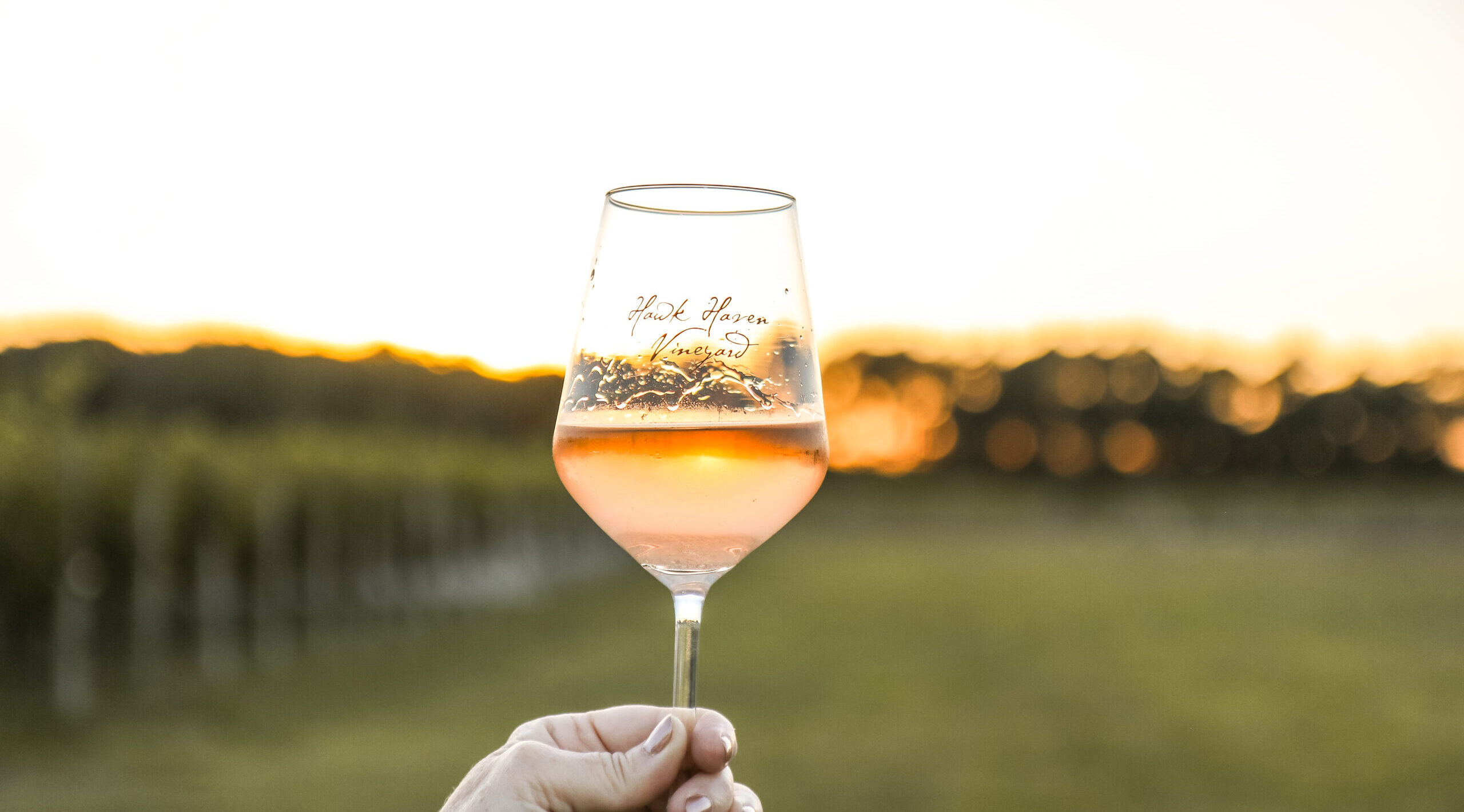 cape may vineyard tours